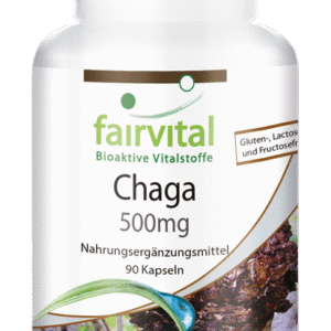 Chaga 500mg (fairvital)