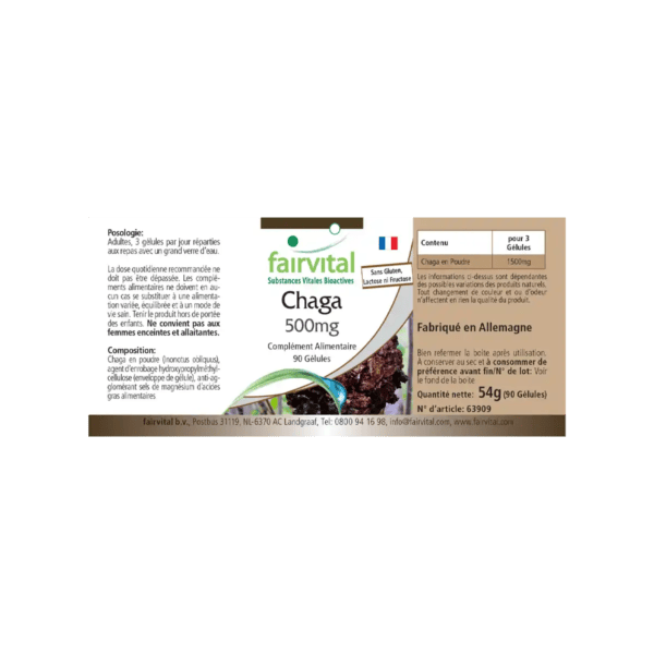 Chaga 500mg (fairvital) französisch