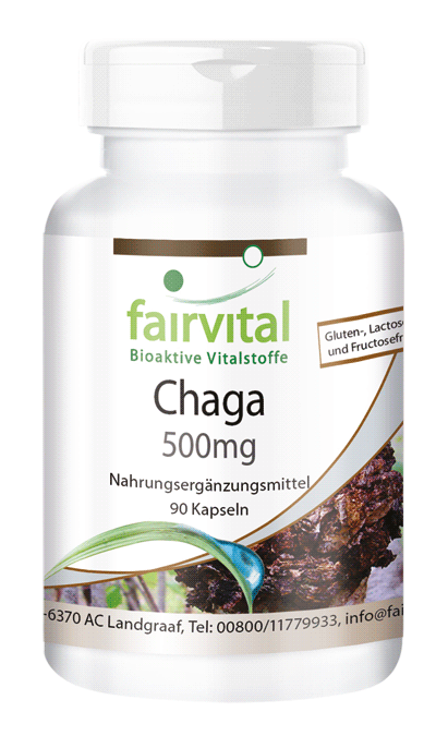 Chaga 500mg (fairvital)