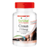 Cissus 250mg (fairvital)