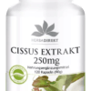 Cissus Extrakt 250mg (Warnke)