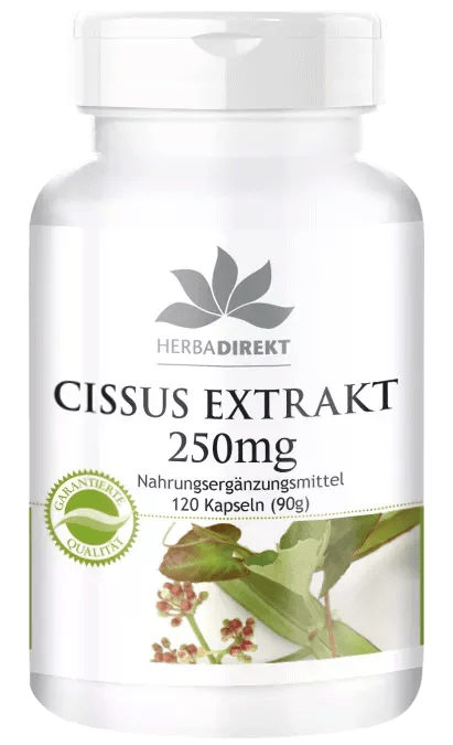 Cissus Extrakt 250mg (Warnke)