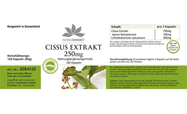 Cissus Extrakt 250mg (Warnke) - deutsch