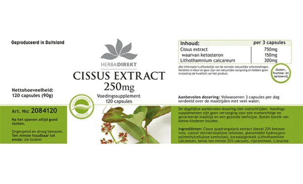 Cissus Extrakt 250mg (Warnke) - niederländisch