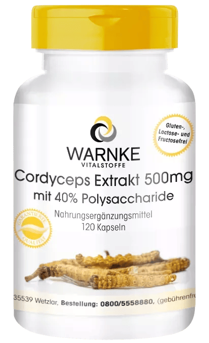 Cordyceps Extrakt 500mg, 40% Polysaccharide (Warnke)