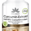 Curcumin Extrakt mit 95% Curcuminoiden (Warnke)