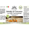 Curcumin Extrakt mit 95% Curcuminoiden (Warnke) - italienisch