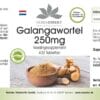 Galgantwurzel 250mg (Warnke) - niederländisch