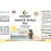 Gelenk-Aktiv Pro (Warnke) - englisch