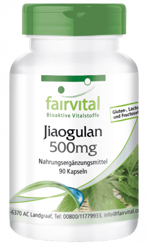 Jiaogulan 500mg (fairvital)