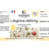 L-Arginin 3600mg (Warnke) - französisch