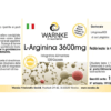 L-Arginin 3600mg (Warnke) - italienisch