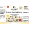 L-Arginin 3600mg (Warnke) - spanisch