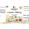 L-Lysin 1000mg (Warnke) - englisch