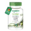 Olivenblatt Extrakt 500mg (fairvital)