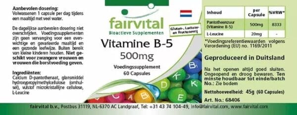 Vitamin B-5 500mg (fairvital)_niederländisch