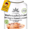 Weihrauch-Extrakt 400mg (Warnke)