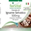 Wild Yam Extrakt 500mg (fairvital)_italienisch